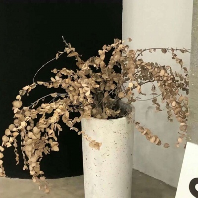 兽设海洋场景设计福瑞交流群